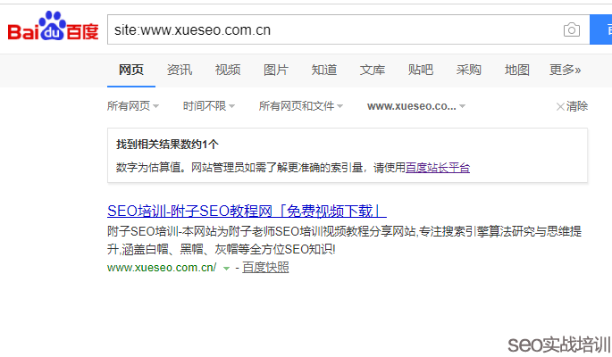 附子SEO：SEO排名提权实战操作 ，移动端SEO优化必学知识点！