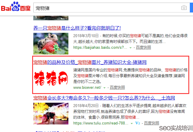 SEO培训案例 ：万变不离其宗的SEO排名 ，细节、思路 、方法 ！